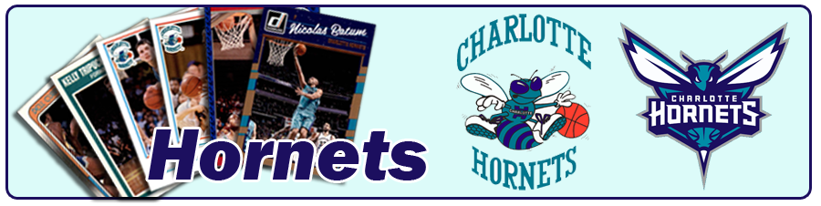 Charlotte Hornets Team Sets 